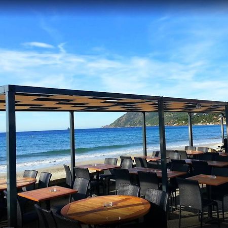Bas De Villa Jardin Plein Sud Proche Mer Clim-Wifi Saint-Mandrier-sur-Mer Exteriör bild
