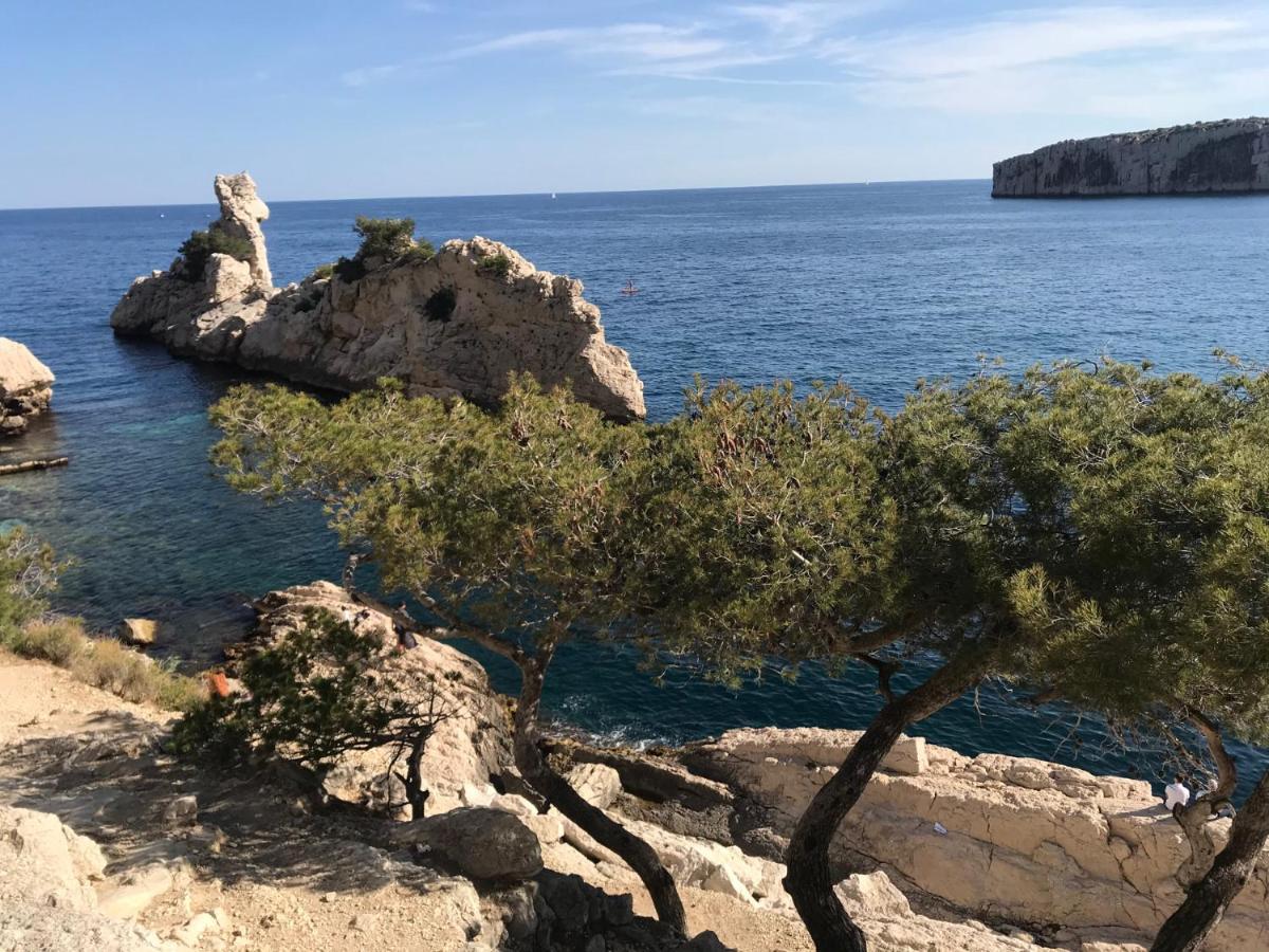 Bas De Villa Jardin Plein Sud Proche Mer Clim-Wifi Saint-Mandrier-sur-Mer Exteriör bild