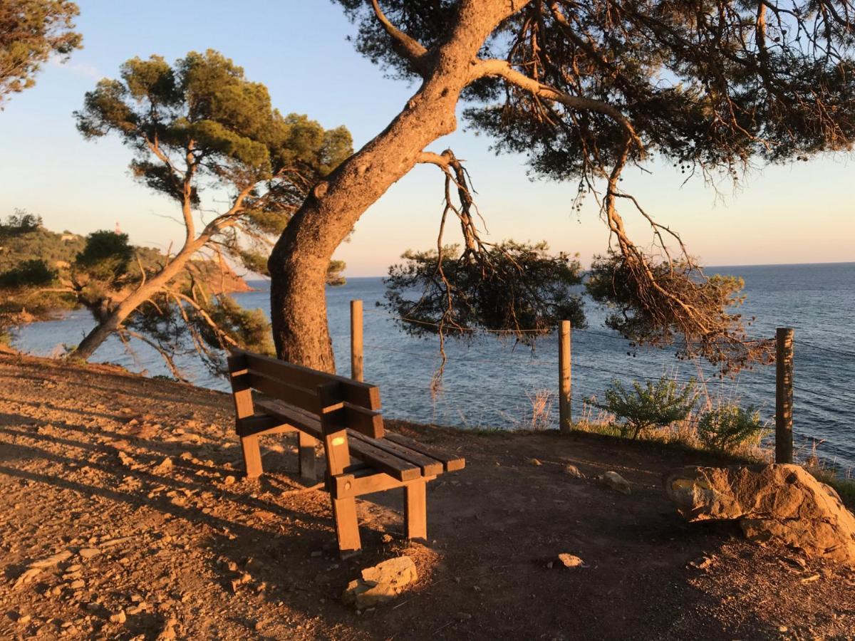 Bas De Villa Jardin Plein Sud Proche Mer Clim-Wifi Saint-Mandrier-sur-Mer Exteriör bild
