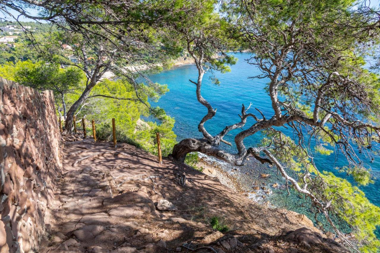 Bas De Villa Jardin Plein Sud Proche Mer Clim-Wifi Saint-Mandrier-sur-Mer Exteriör bild