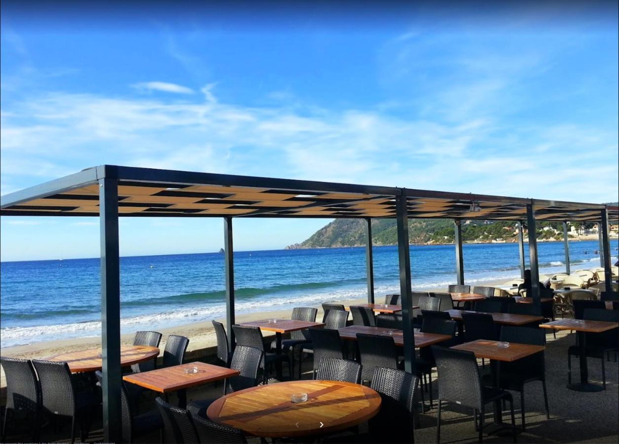 Bas De Villa Jardin Plein Sud Proche Mer Clim-Wifi Saint-Mandrier-sur-Mer Exteriör bild