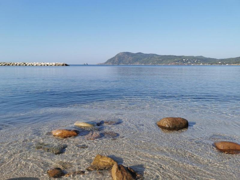 Bas De Villa Jardin Plein Sud Proche Mer Clim-Wifi Saint-Mandrier-sur-Mer Exteriör bild