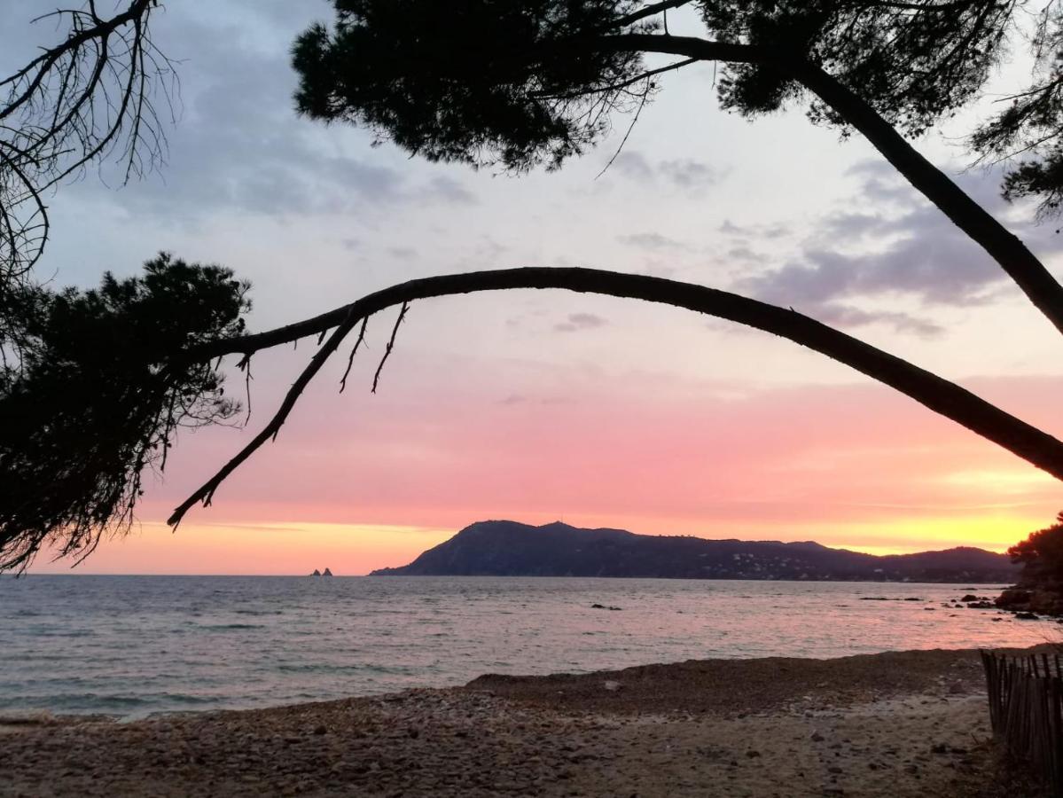 Bas De Villa Jardin Plein Sud Proche Mer Clim-Wifi Saint-Mandrier-sur-Mer Exteriör bild